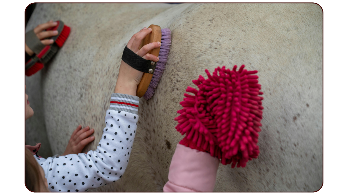 Winter Coat Transition: Grooming Livestock for Fall Chills