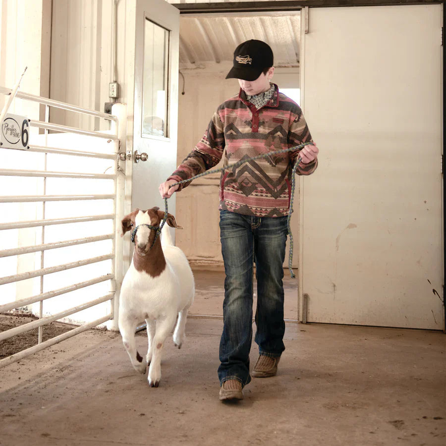 Halters, Collars, Leads