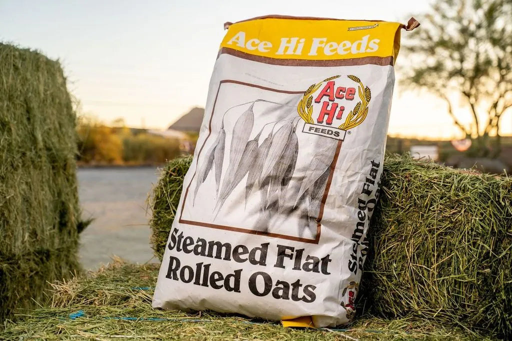 Ace Hi Steamed Flat Rolled Oats, 50 lb. Bag
