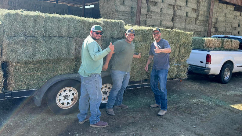 Tom's Hay Farm