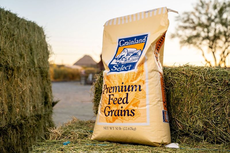 Purina Grainland Select Rolled Corn Livestock Feed, 50 lb. Bag