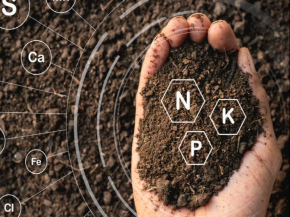 01. Healthy Soil