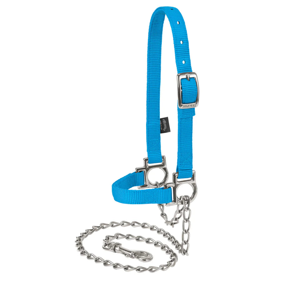 Weaver Livestock Nylon Adjustable Sheep Halter with Chain Lead