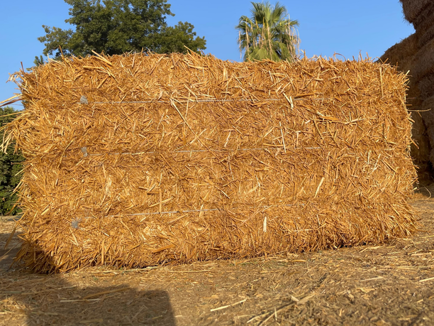 Straw Hay
