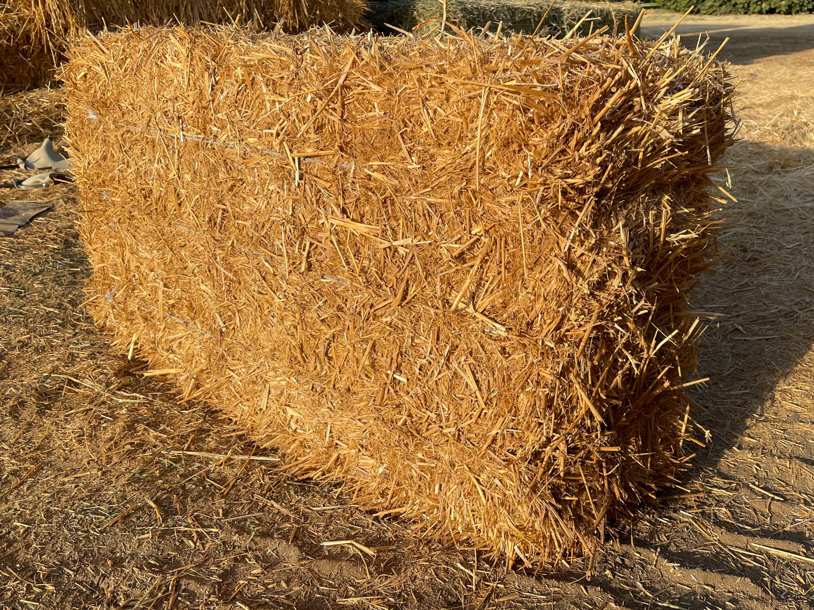 Straw Hay