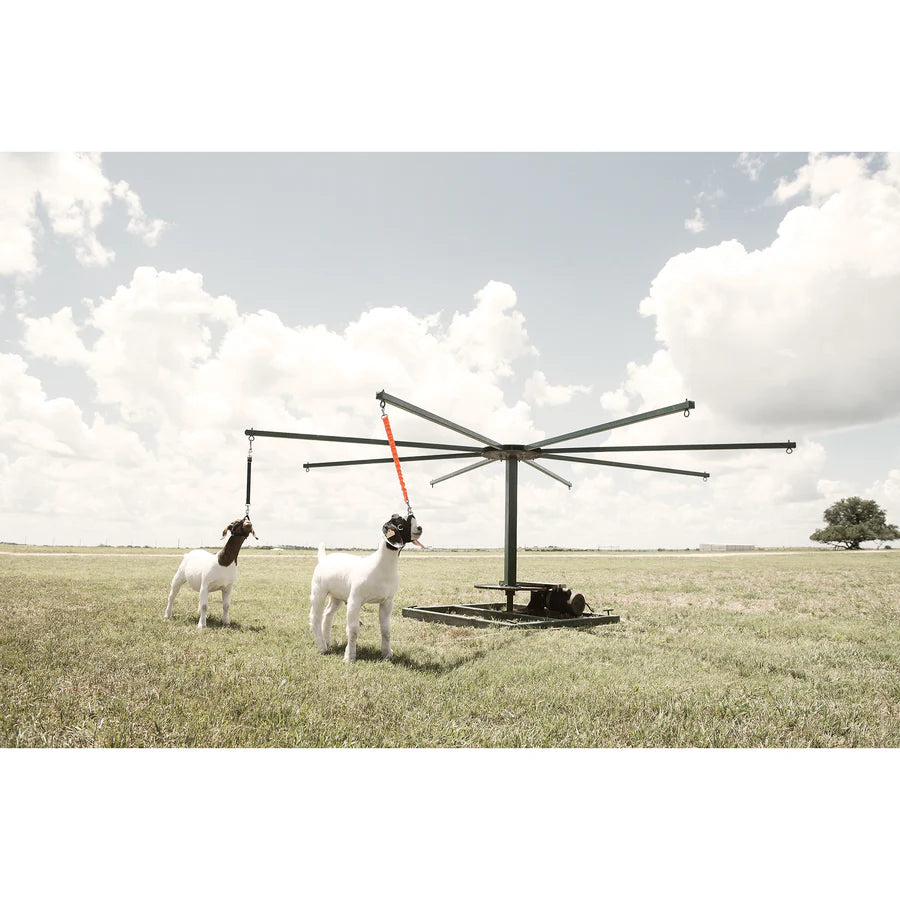 Weaver Livestock Sheep & Goat Training Halter