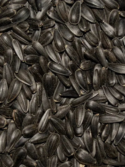 Volkman Sunflower Seed Black Oil, 40 lb. Bag