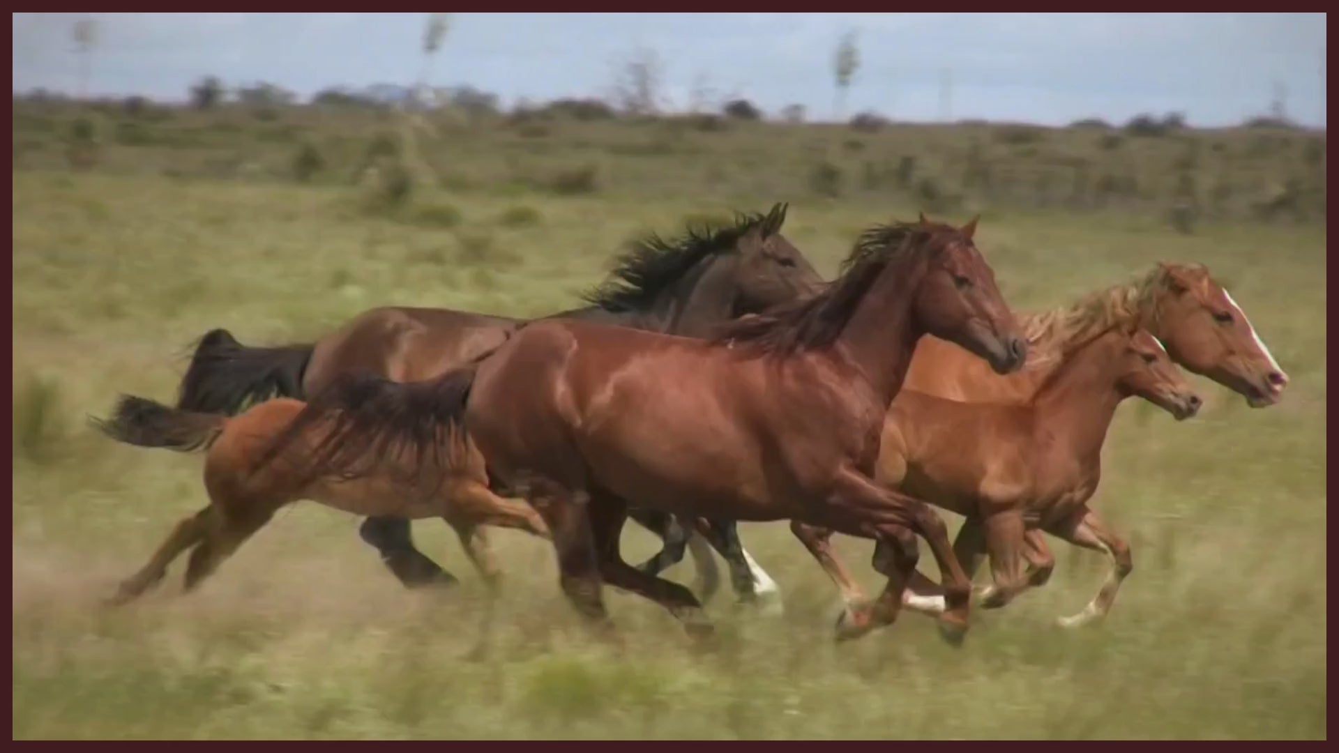 Load video: