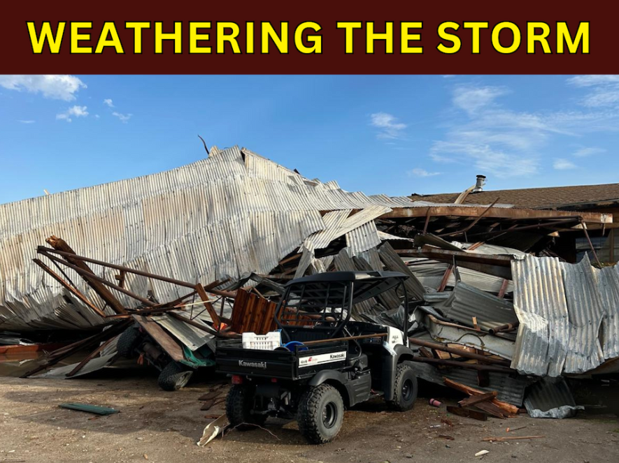 Weathering the Storm