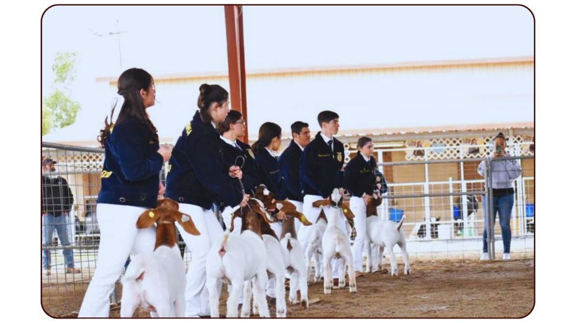 Mid-Winter Fair Highlights