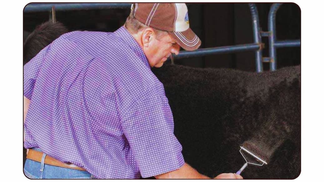 Spring Pasture Prep: Getting Your Livestock Ready for April Green-Up 