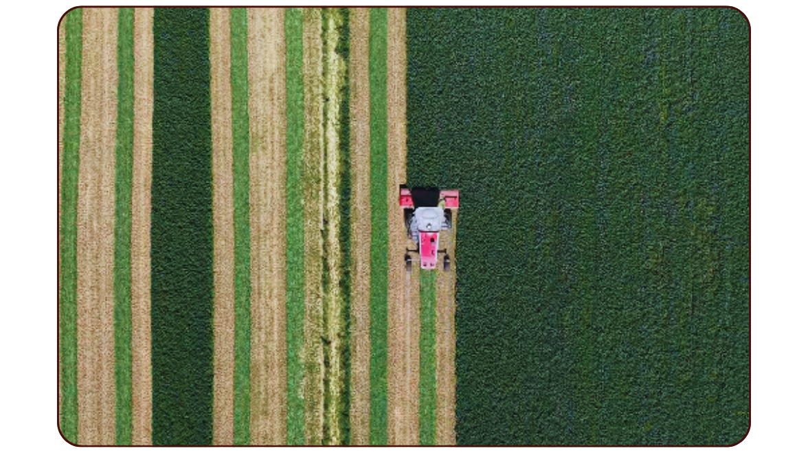 Peak Cutting Season: Our Busiest Stretch in the Fields