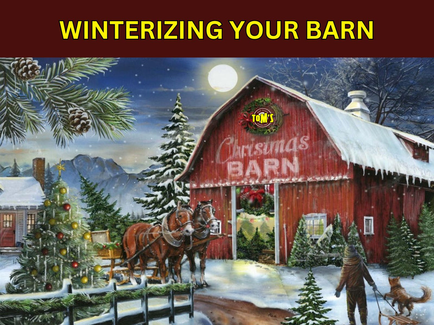 Winterizing Your Barn: Keeping Livestock Safe and Comfortable