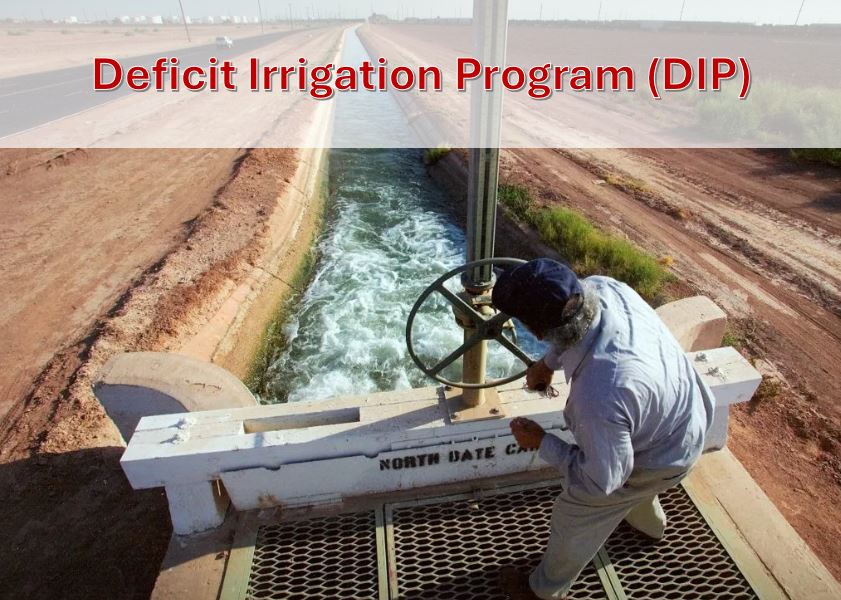 Farmers are Leading the Way in Water Conservation