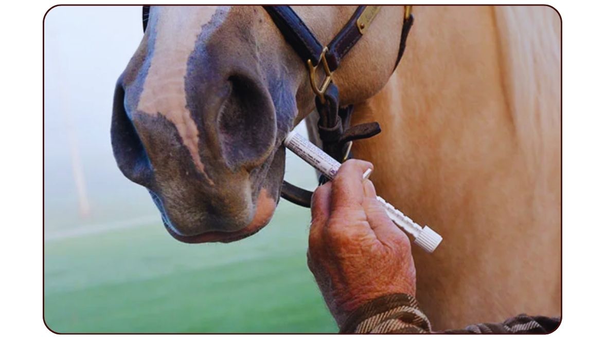 Fall Deworming: Safeguarding Livestock Before Winter
