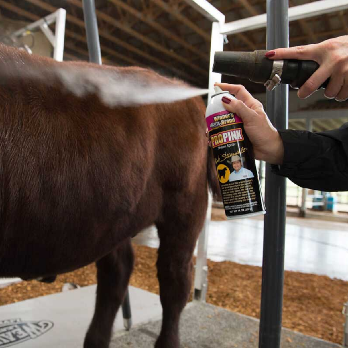Cattle Touch-Up & Finishing Sprays