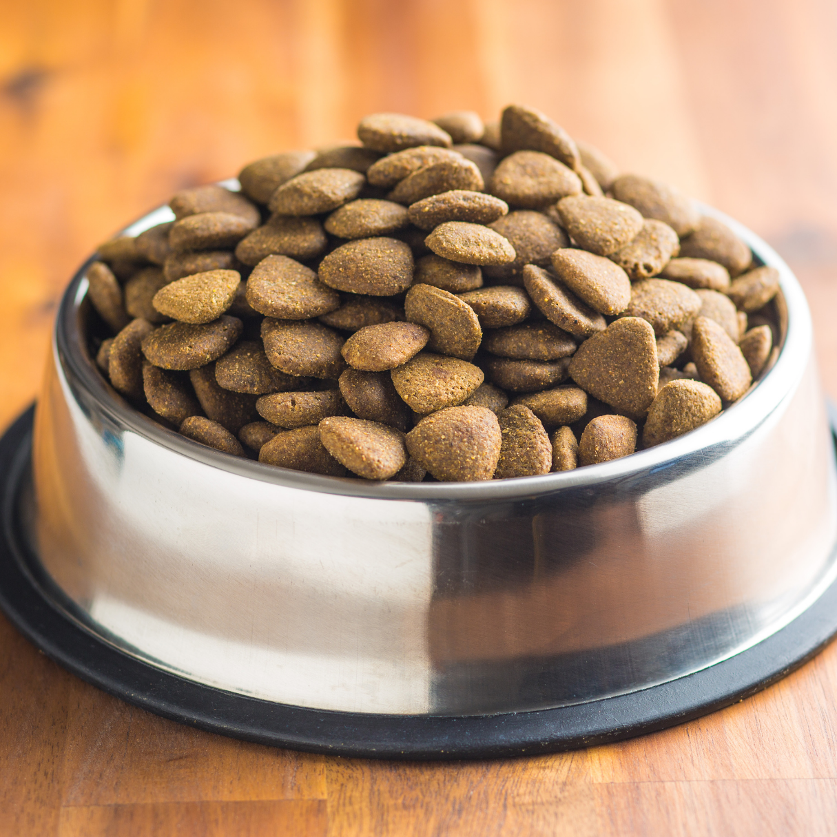 Dog Food