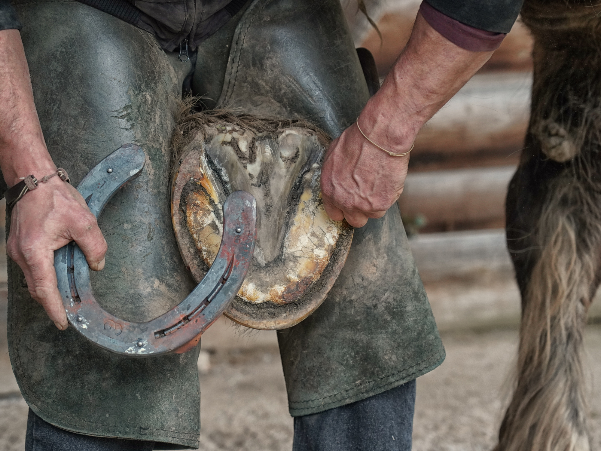 Farrier