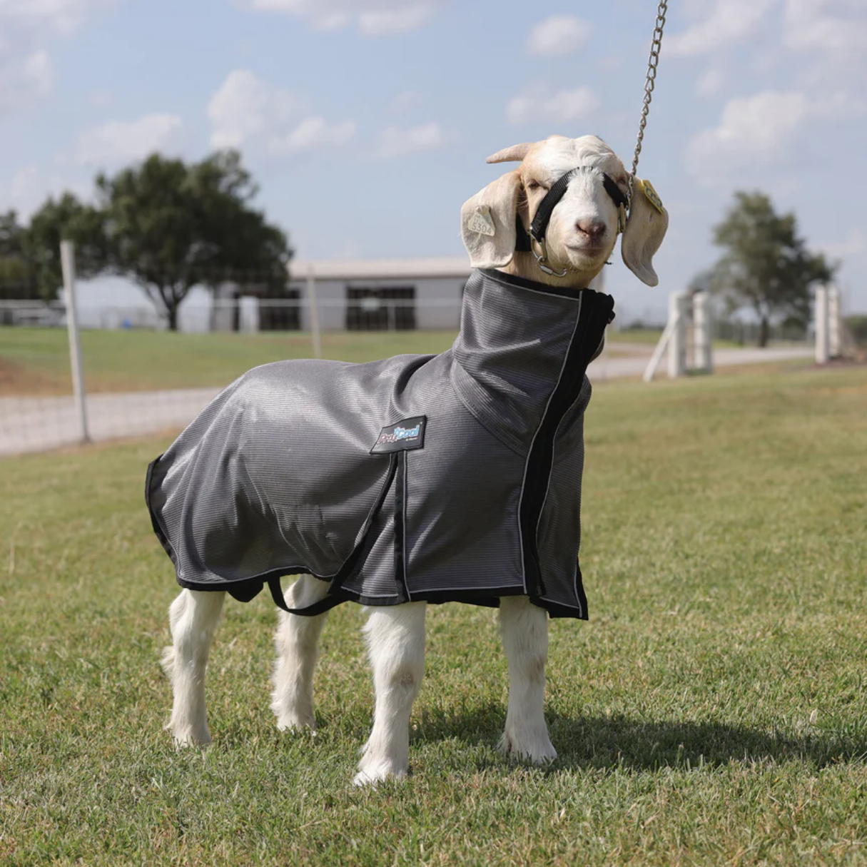 Goat Blankets & Tubes