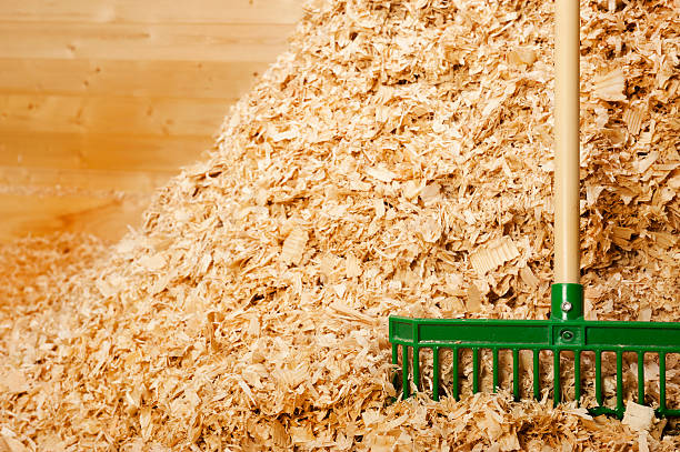 Shavings
