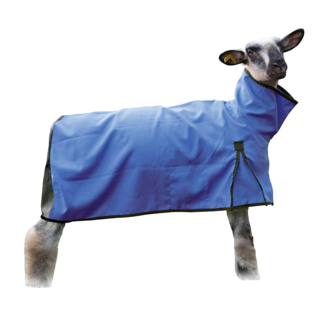 Sheep Blankets & Tubes