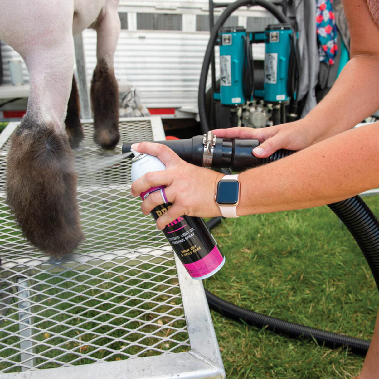 Sheep Touch-Up & Finishing Sprays
