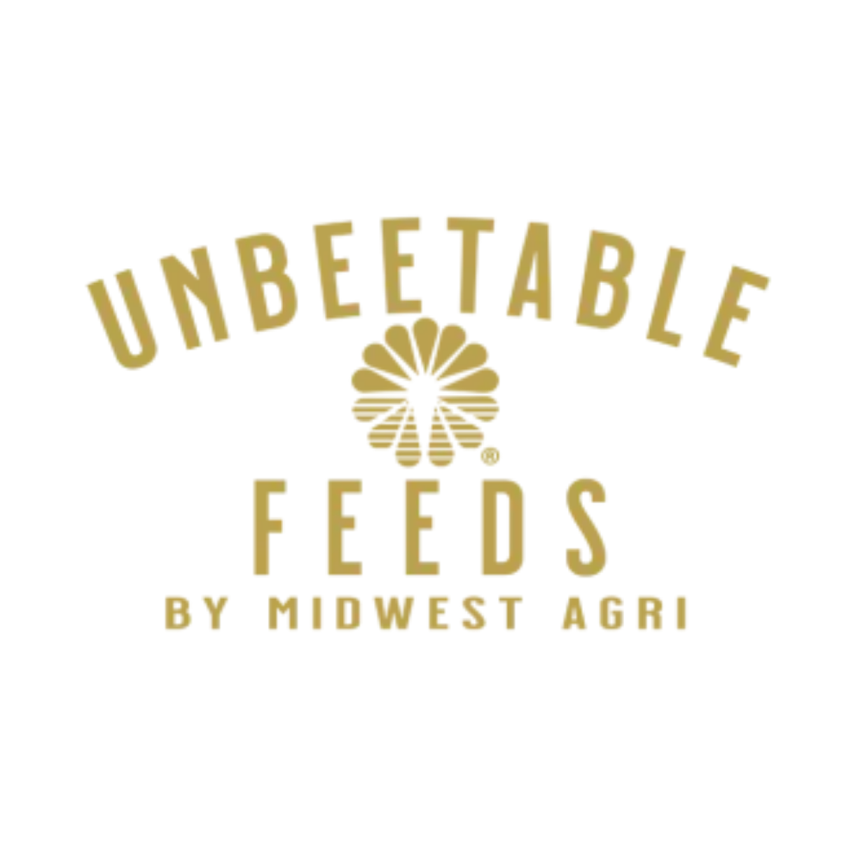 Unbeetable Feeds
