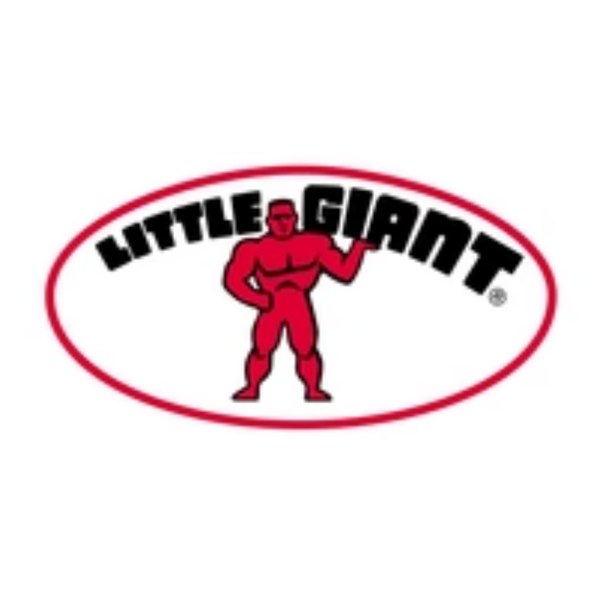 Little Giant