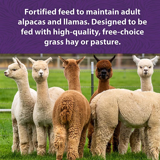 Mazuri Alpaca and Llama Maintenance Feed, 50 lb. Bag