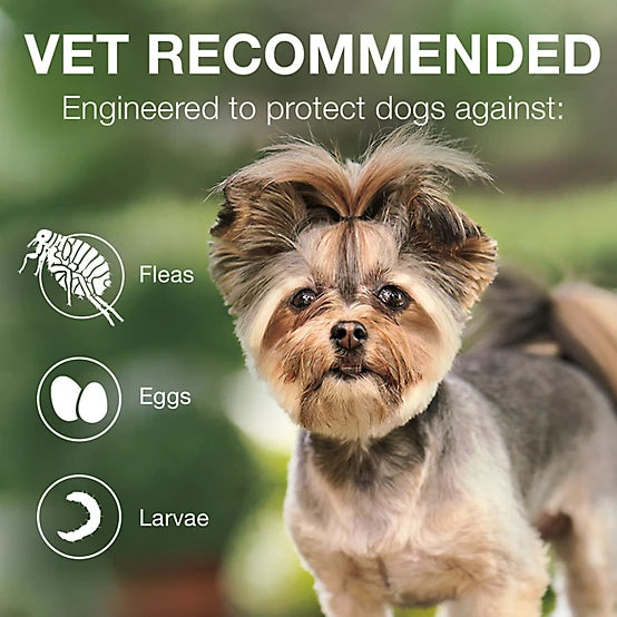 Advantage II Flea Spot Treatment for Dogs