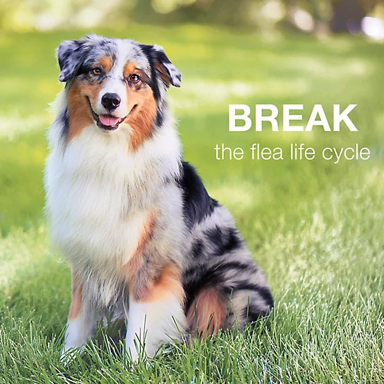 Advantage II Flea Spot Treatment for Dogs