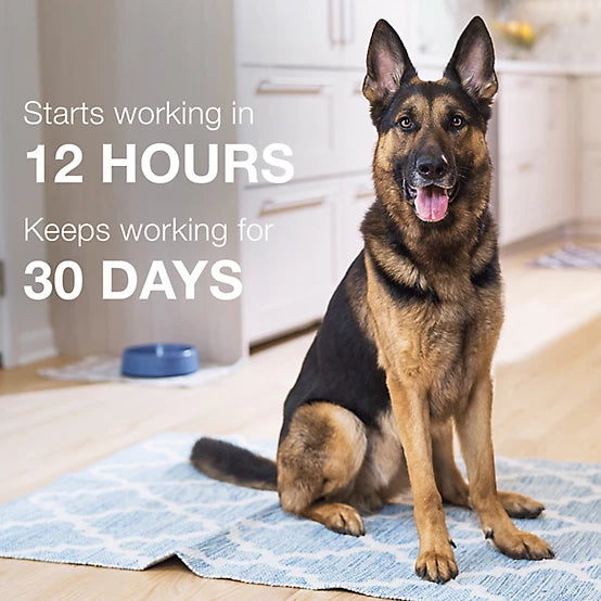 Advantage II Flea Spot Treatment for Dogs