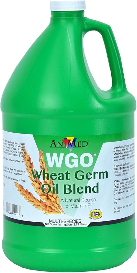 AniMed WGO Wheat Germ Oil Blend Coat Health Liquid Horse Supplement, 1 gallon