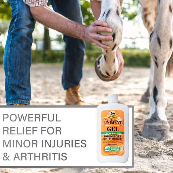 Absorbine Veterinary Topical Menthol Sore Muscles & Arthritis Pain Relief Horse Liniment Gel