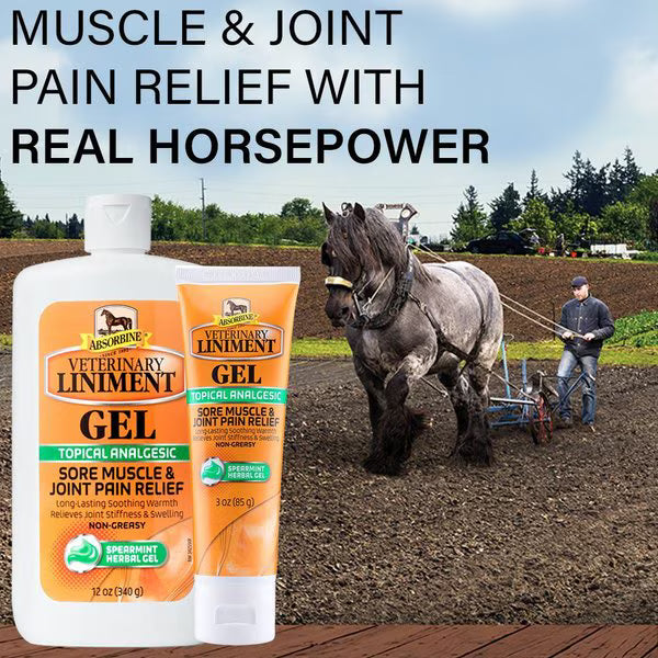 Absorbine Veterinary Topical Menthol Sore Muscles & Arthritis Pain Relief Horse Liniment Gel