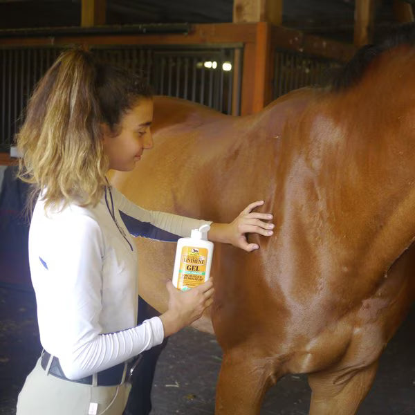 Absorbine Veterinary Topical Menthol Sore Muscles & Arthritis Pain Relief Horse Liniment Gel