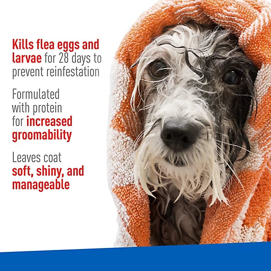 Adams Plus Lightly Scented Flea and Tick Shampoo with Precor for Cats, 12 oz