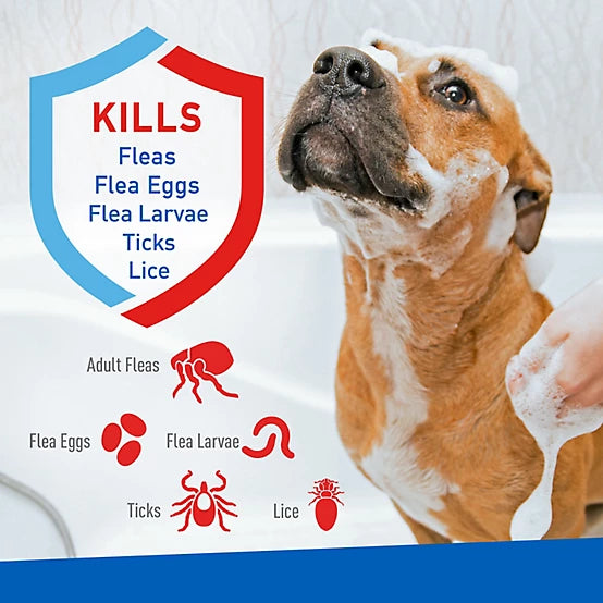Adams Plus Lightly Scented Flea and Tick Shampoo with Precor for Cats, 12 oz