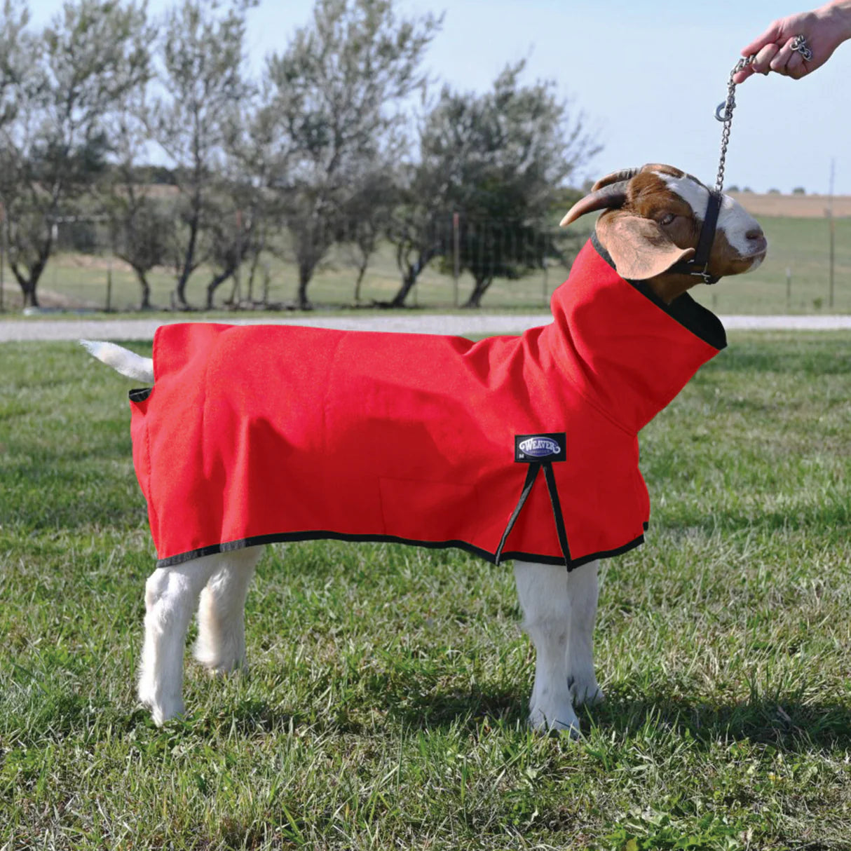 Weaver Livestock Nylon Goat Blanket With Solid Butt