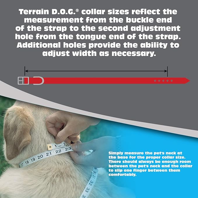 Terrain D.O.G. Brahma Webb Clear Coat Collar, Digital Orange