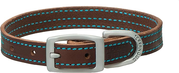 Terrain D.O.G. Bridle Leather Dog Collar