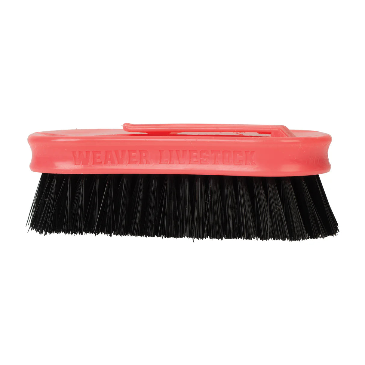 Weaver Livestock Pig Face Brush, Plastic Handle