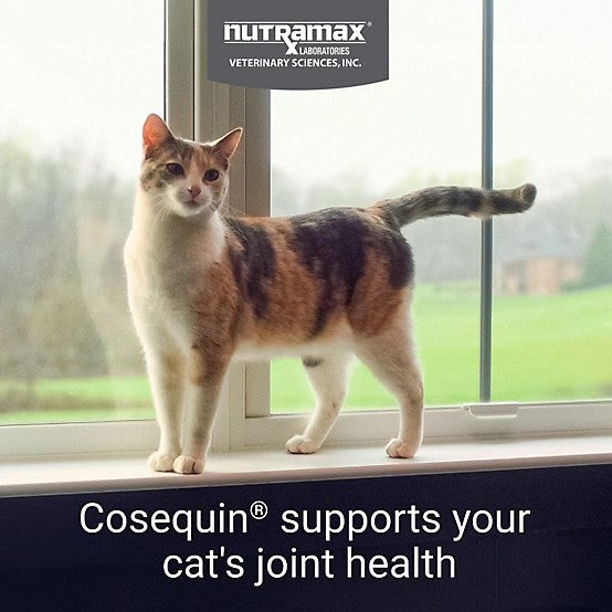 Cosequin Maximum Strength Joint Health Supplement Sprinkle Capsules for Cats