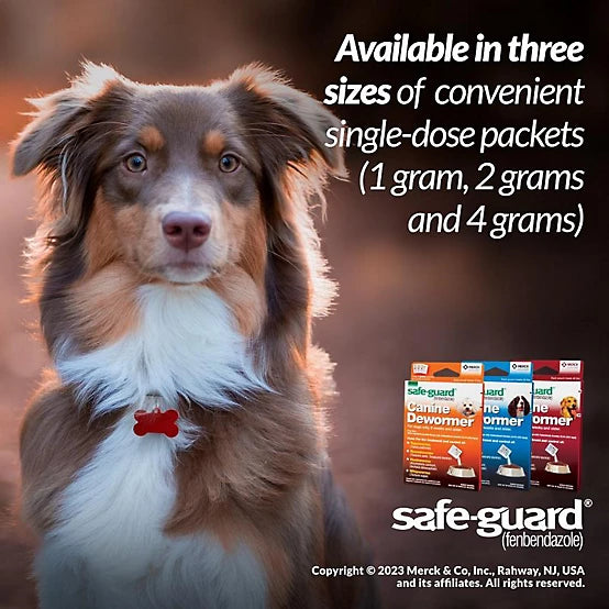 Merck Safe-Guard Dewormer for Dogs