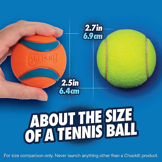 Chuckit! Medium Ultra Ball Dog Toys, 2-Pack