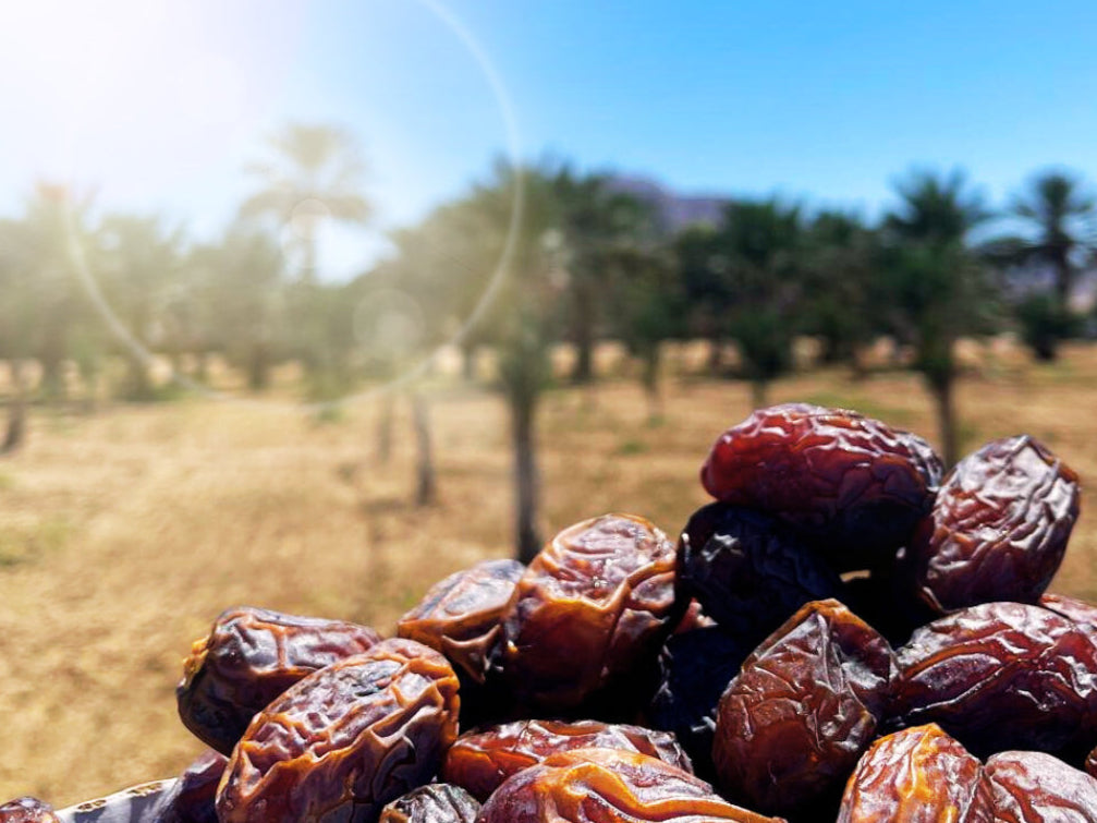 Imperial Hand-Picked Medjool Dates, 11 lb. Box