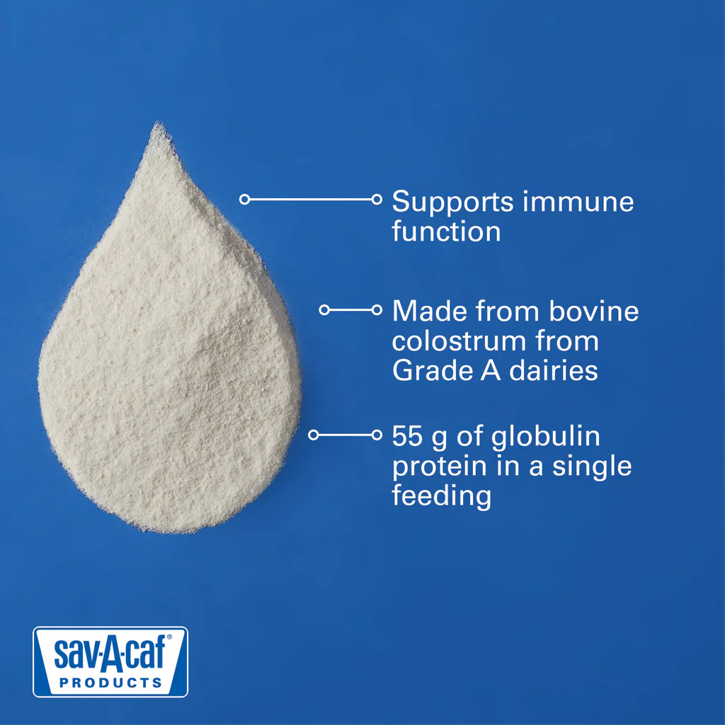 Sav-A-Caf Colostrum Supplement