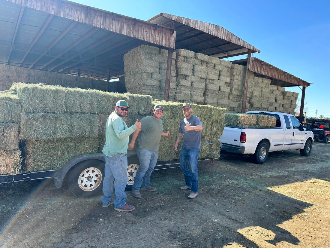 Tom's Hay Farm