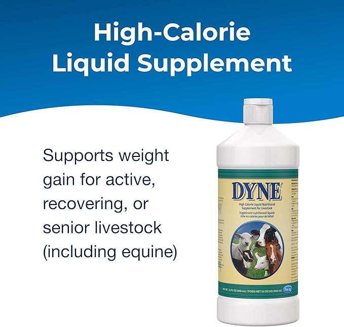 PetAg Dyne High Calorie Liquid Nutritional Supplement for Livestock