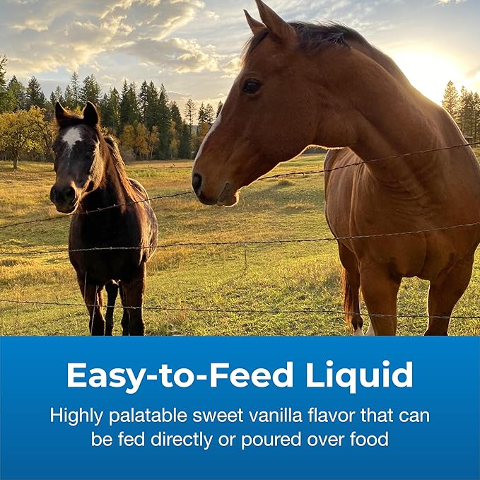 PetAg Dyne High Calorie Liquid Nutritional Supplement for Livestock